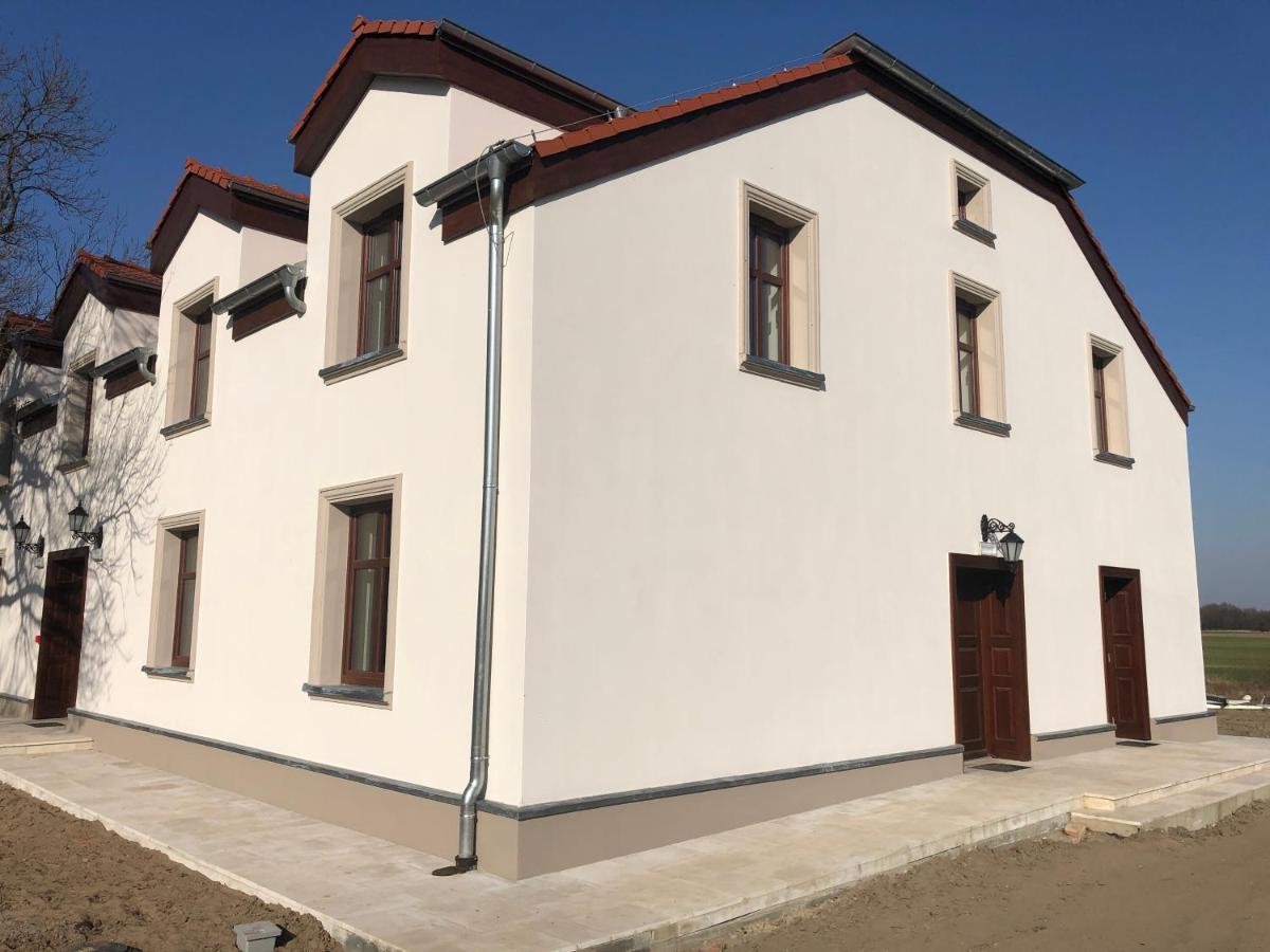 Bed and Breakfast Dwor Gogolewo Nad Warta Ksiaz Wielkopolski Exterior foto